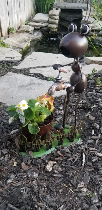 Watering the flowers