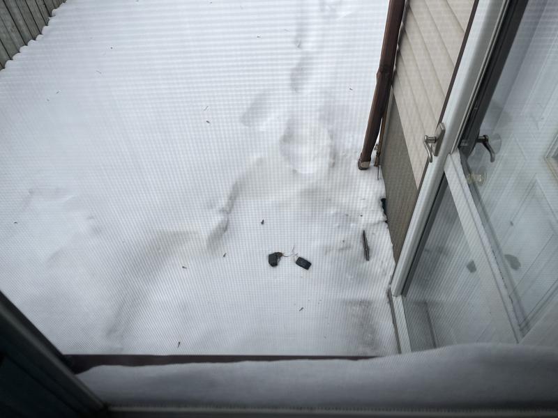 Caught inside, freezing outside before emptying and offering to the birds