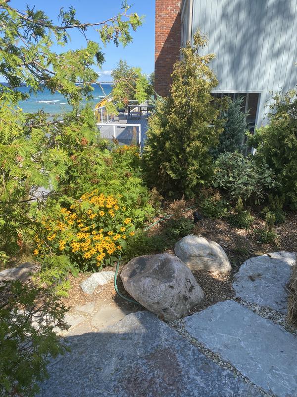 A great hose for sloped beds.  Even distribution.