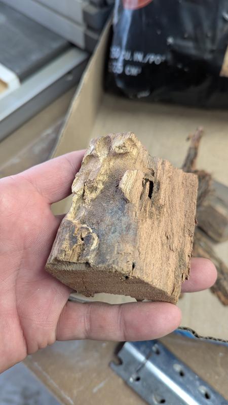 Would you cook your food with this wood?