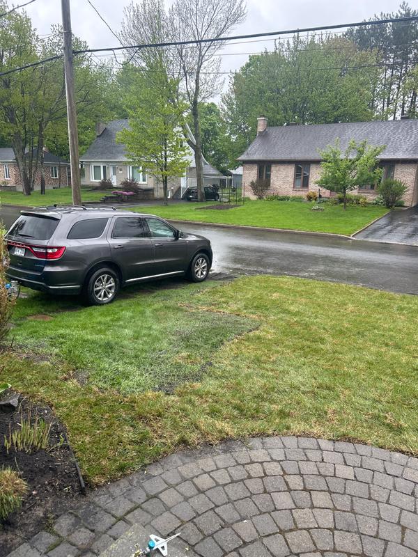One week ago. Fresh sod laid and it takes 2-4 weeks to look good.