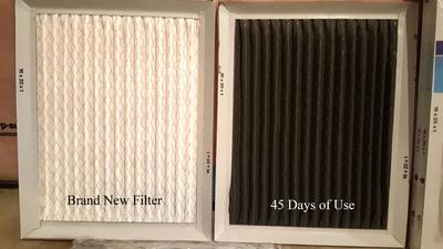 Filter Comparison after 45 Days!