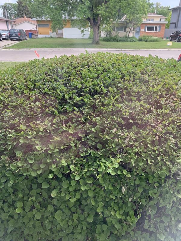 Photo - commentaire 3.