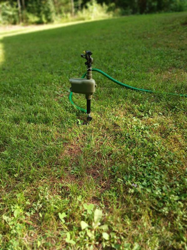 Photo - commentaire&nbsp;1.