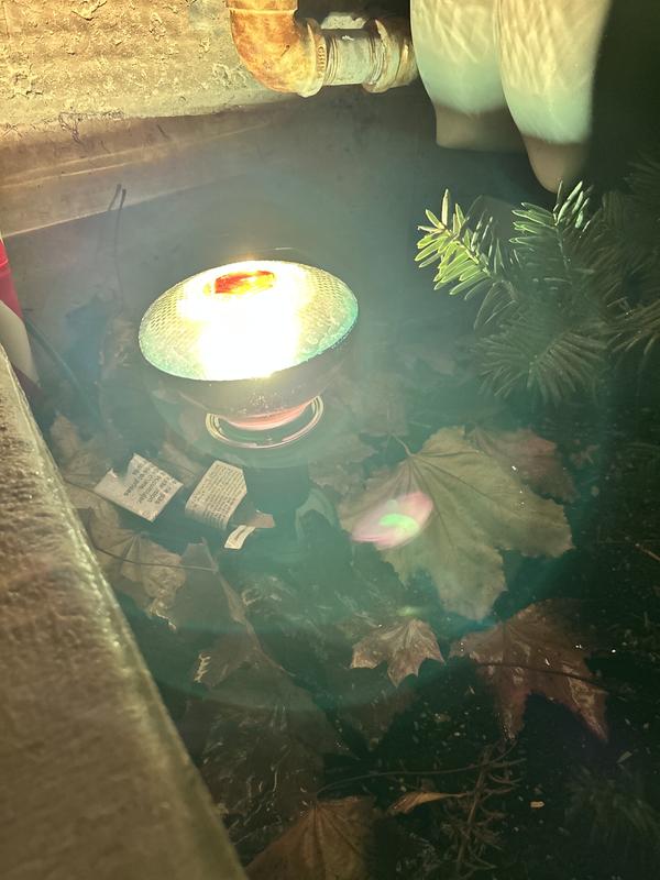 Centre is brown/burnt