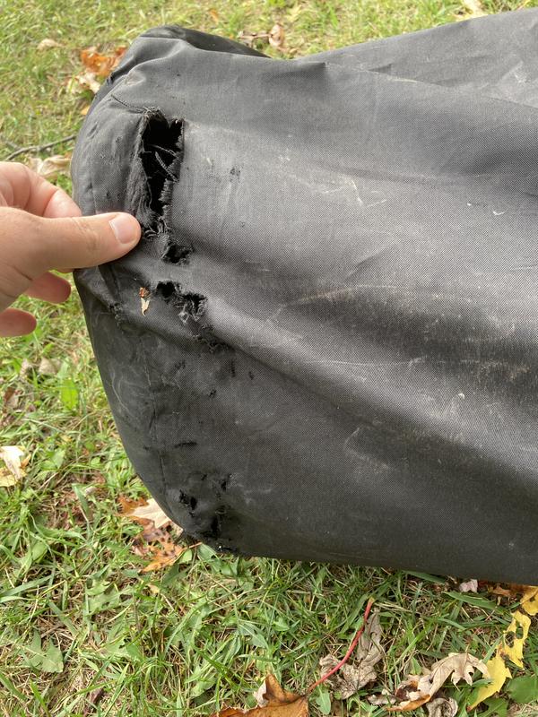 Photo - commentaire 7.