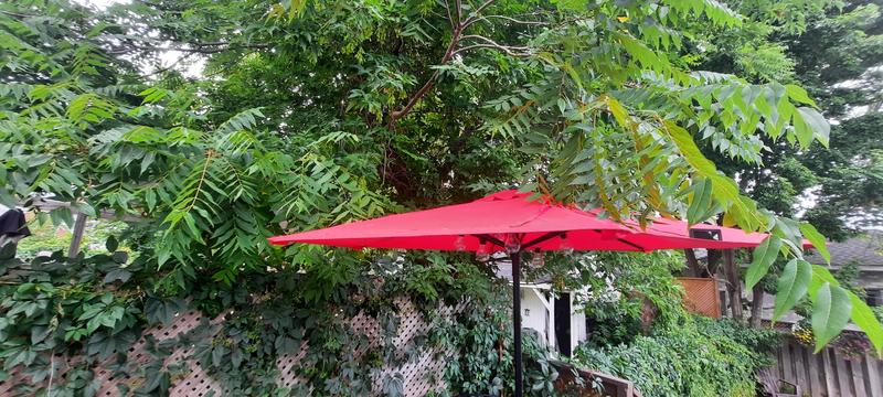 Photo - commentaire&nbsp;2.