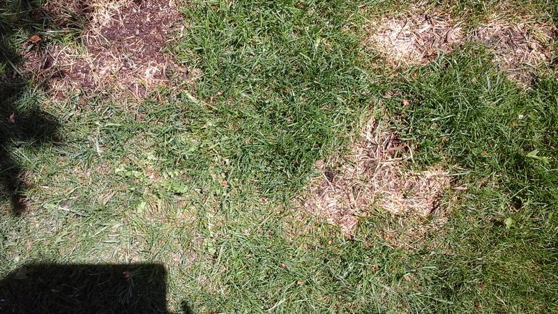 Photo - commentaire&nbsp;7.