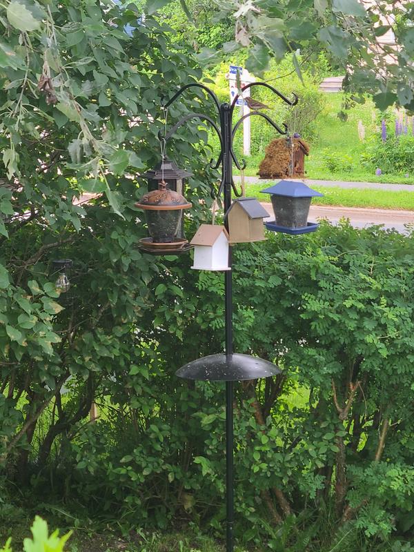 Photo - commentaire&nbsp;4.