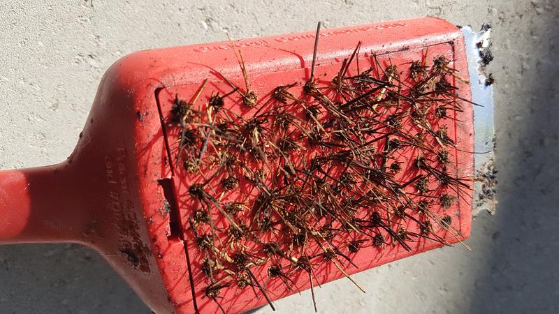 Etat après quelques utilisations