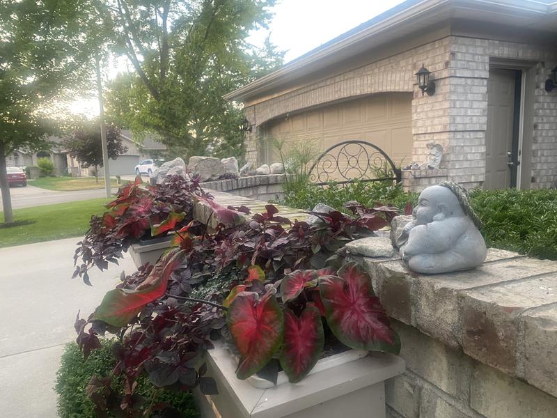 Photo - commentaire&nbsp;4.