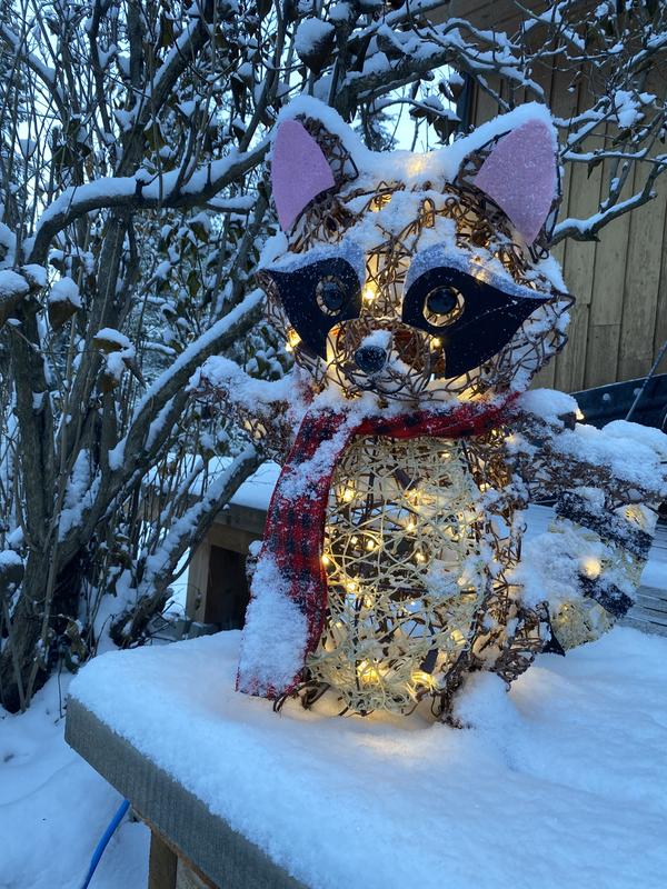 Photo - commentaire&nbsp;8.