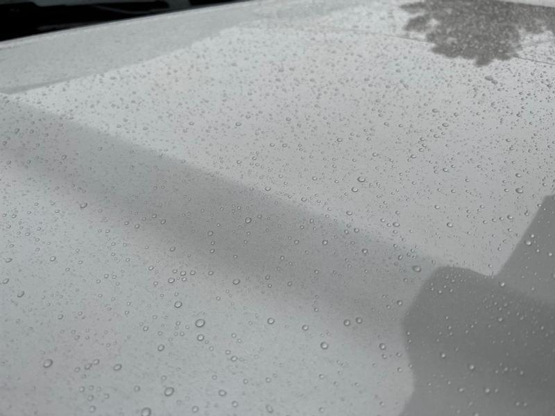 Water beads after rain