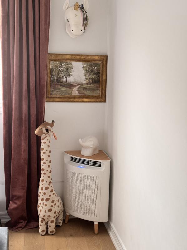 Photo - commentaire 1.