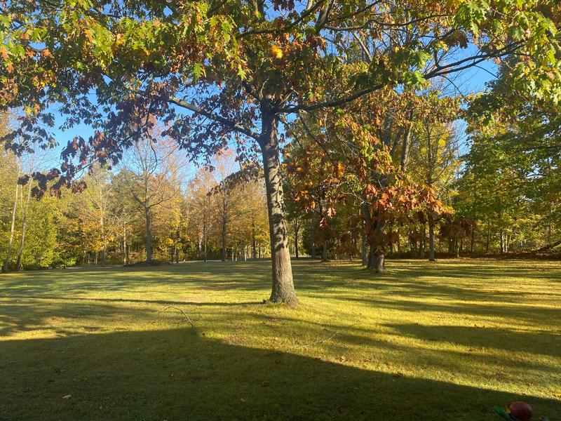 Photo - commentaire&nbsp;1.