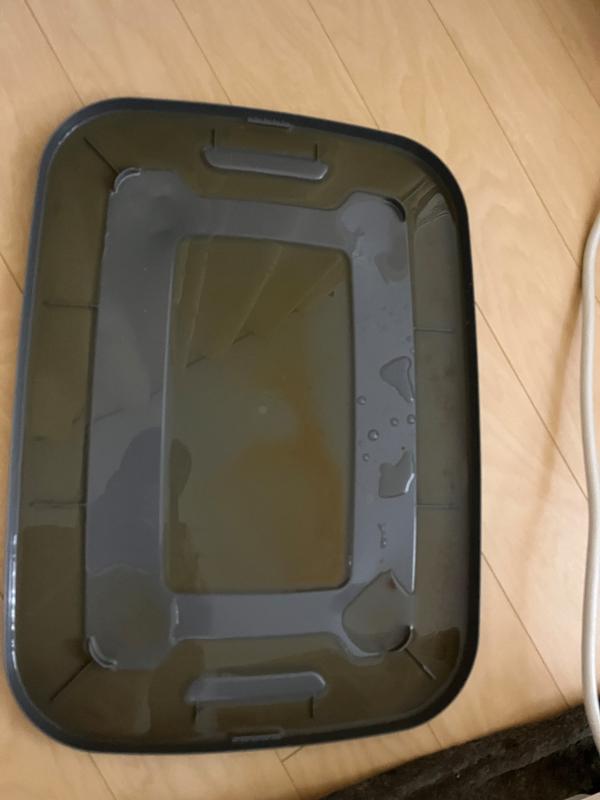 Photo - commentaire 1.