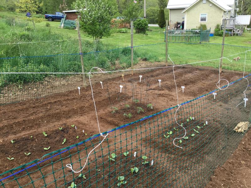 Photo - commentaire&nbsp;4.