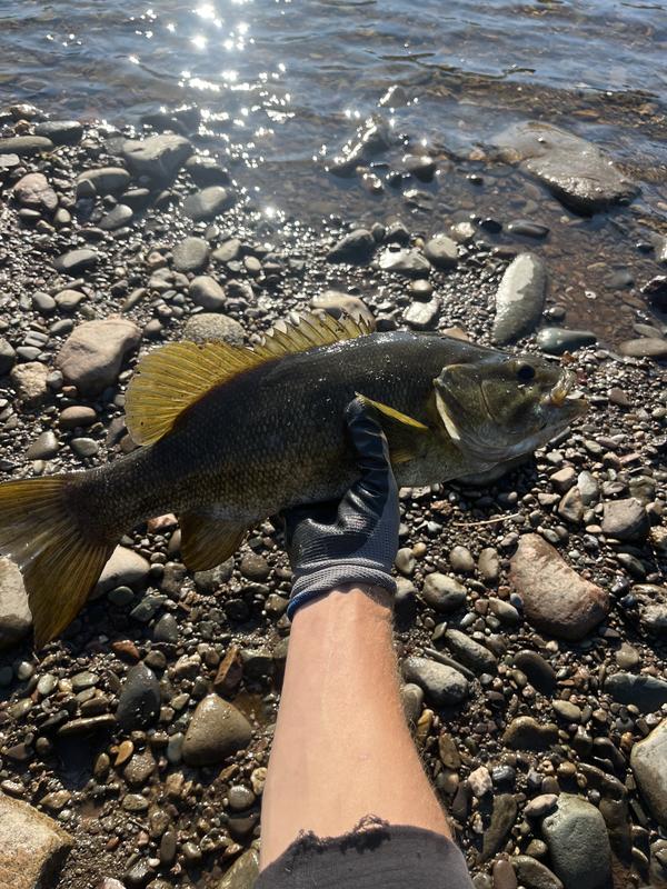 Decent bass!