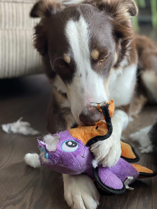 But he loved every minute of it.