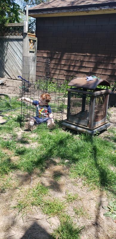 Photo - commentaire 6.