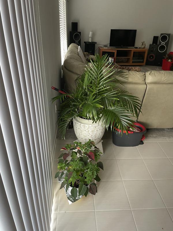 Photo - commentaire 6.