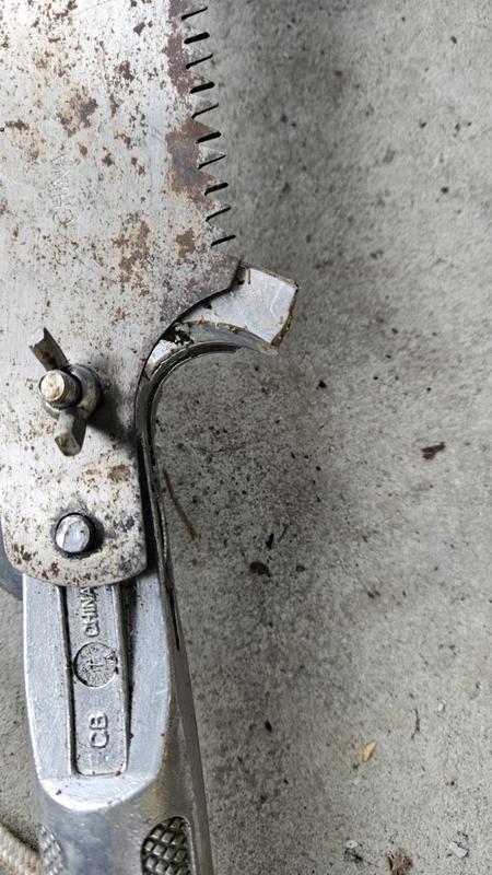 Photo - commentaire 6.