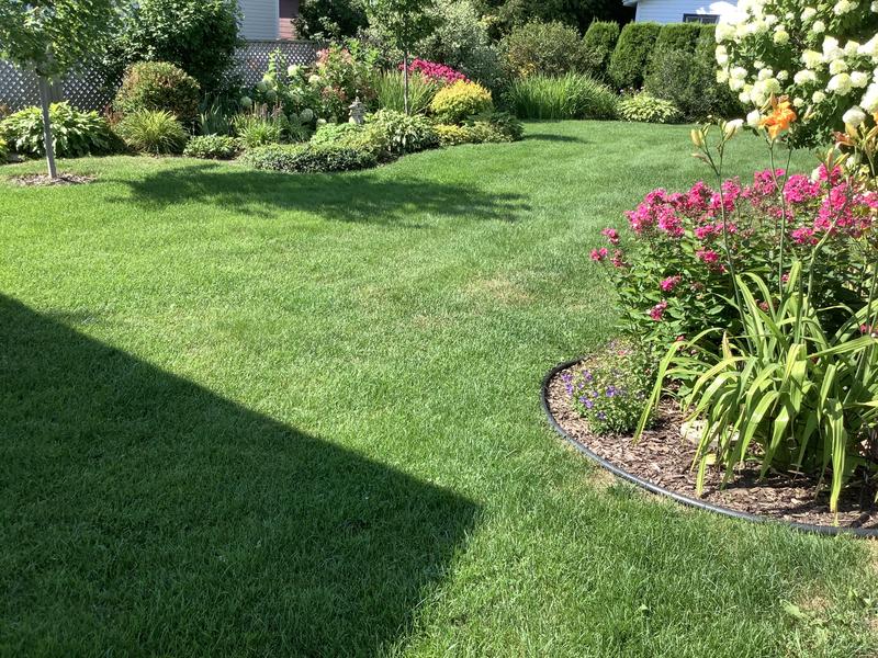 Photo - commentaire 5.