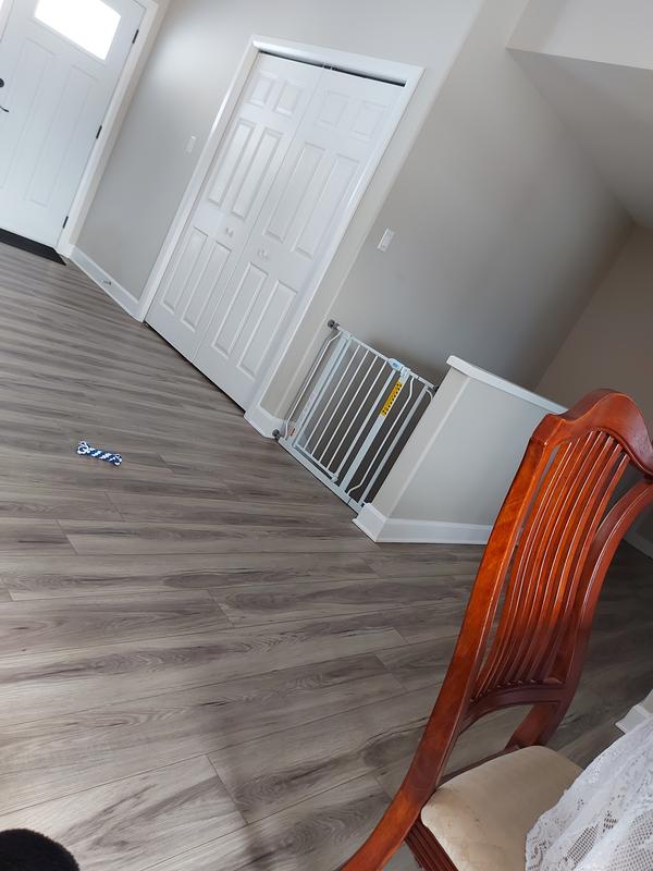 Photo - commentaire 2.