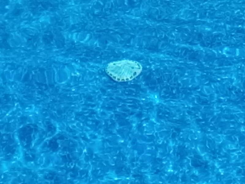 Photo - commentaire 4.