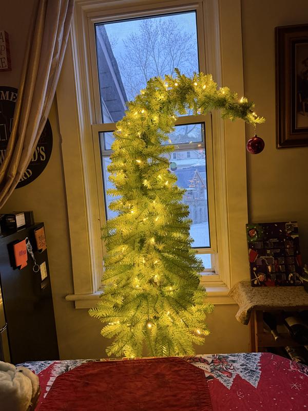 Photo - commentaire&nbsp;6.