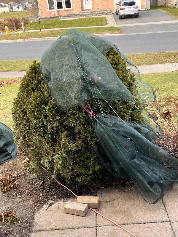 You should have YouTube lessons to show how to use product