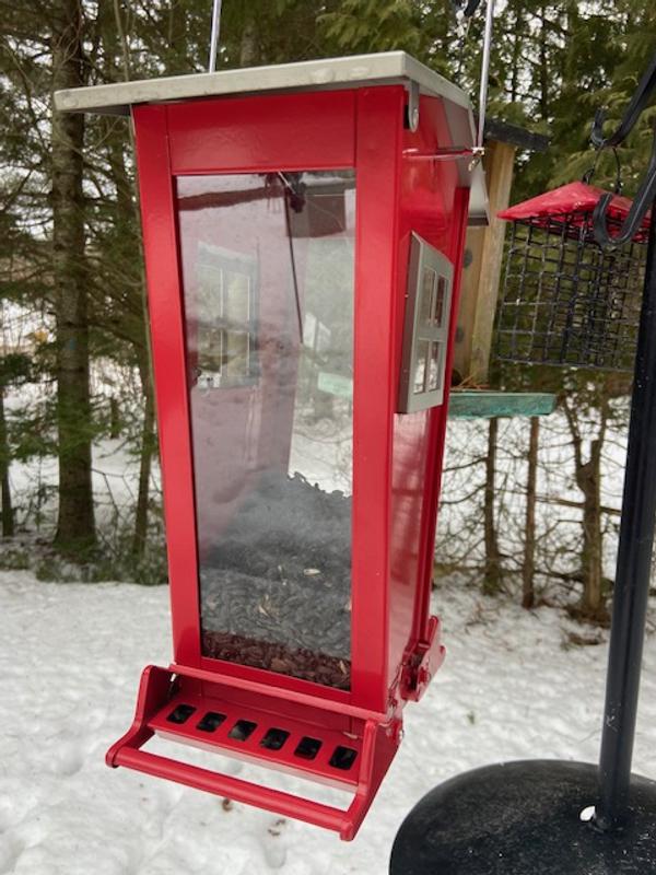 Photo - commentaire 8.