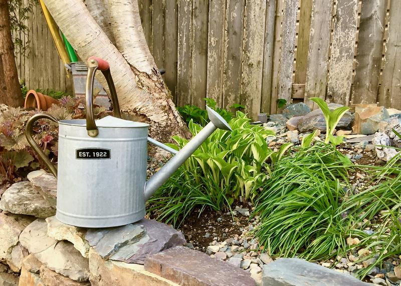 Photo - commentaire&nbsp;8.