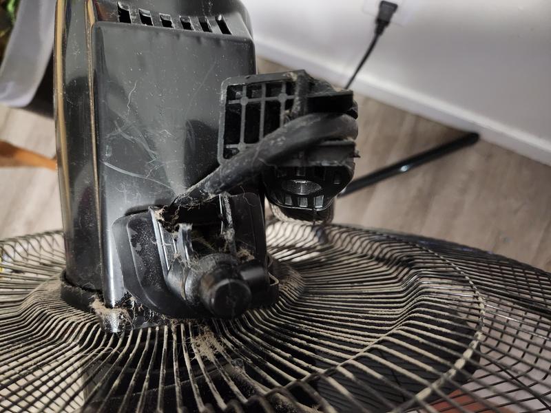 Photo - commentaire 7.