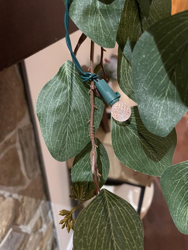 Photo - commentaire 2.