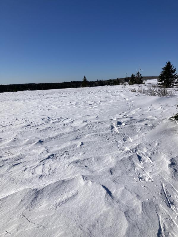 Photo - commentaire&nbsp;6.