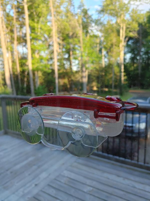 Easy to clean, fill, and beautiful to watch hummingbirds right out my window