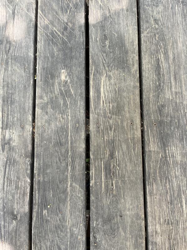 Photo - commentaire&nbsp;1.