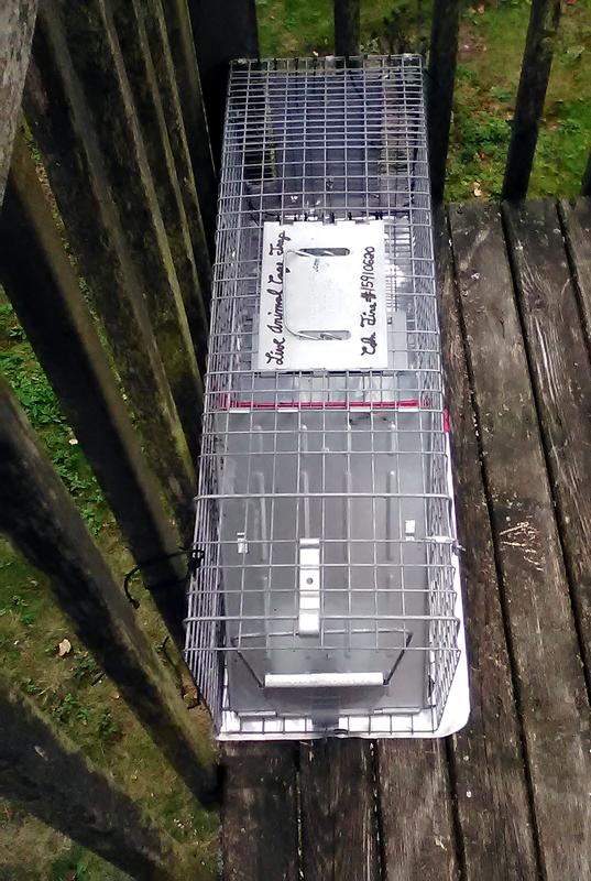 Havahart Live Animal Cage Trap, model 1079