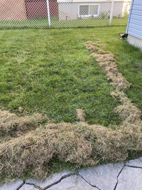 Photo - commentaire 8.