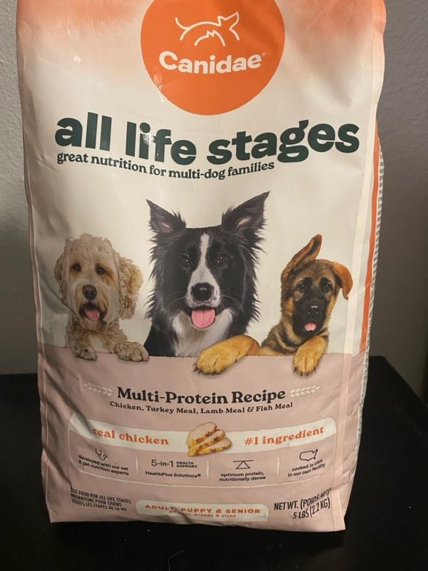 Canidae multi protein dog food sale