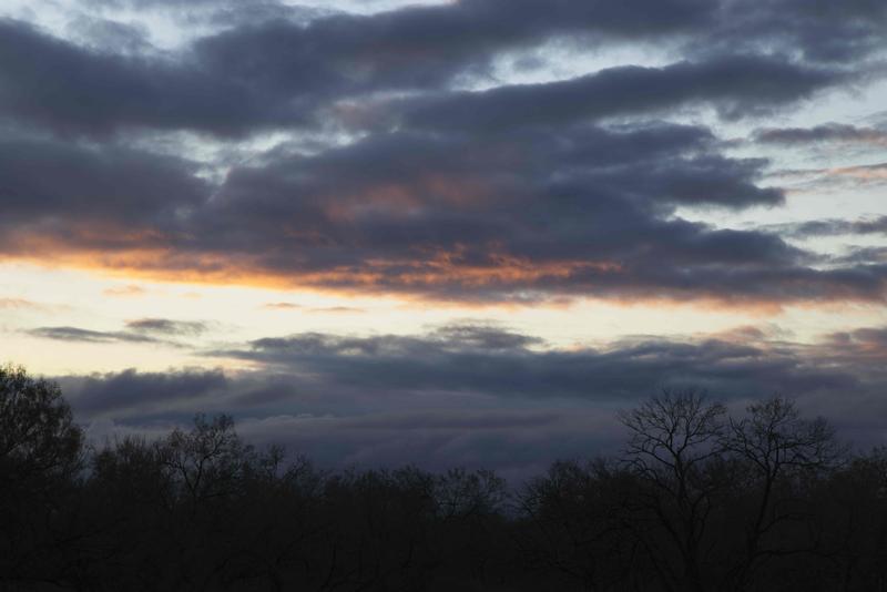 R5 Mark II test shots