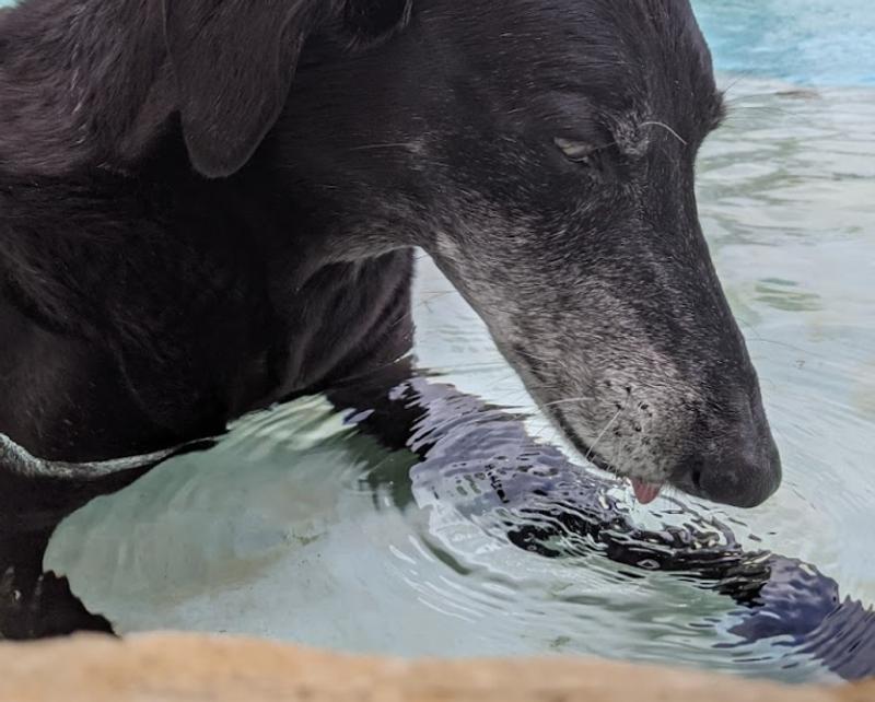 This is the original image I decided to send to the printer