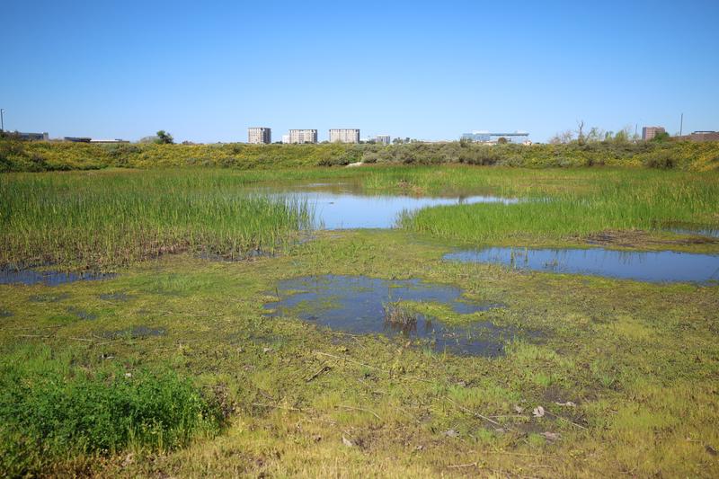 Customer carousel item 3.