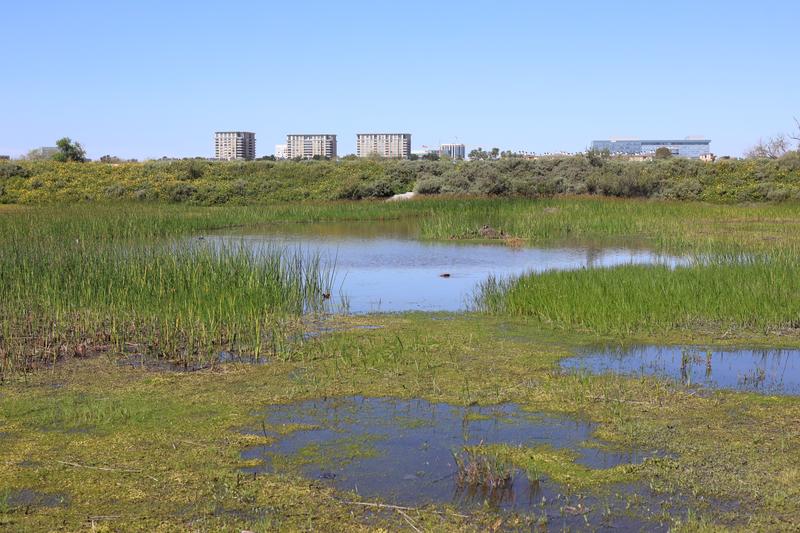 Customer carousel item 4.