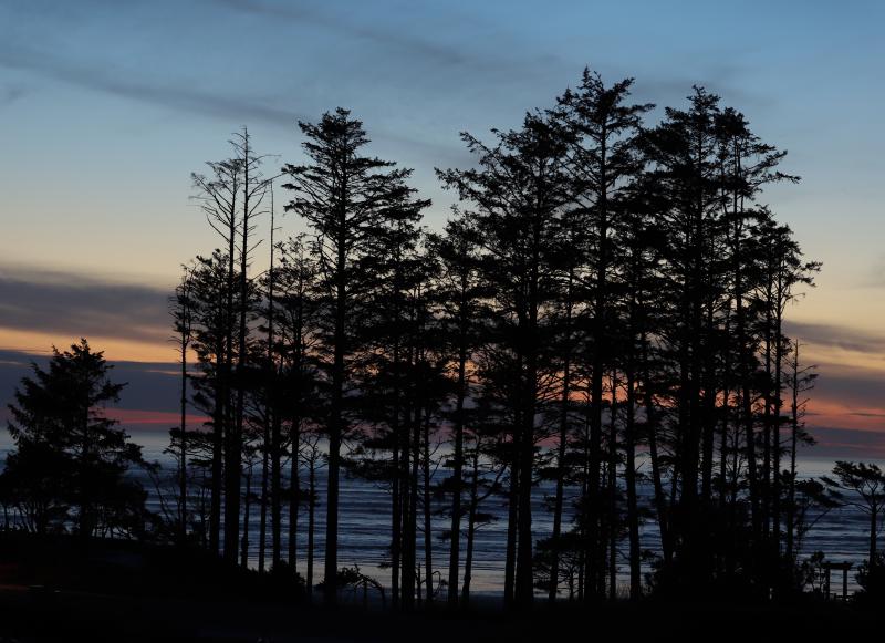 Pacific North West Sunset