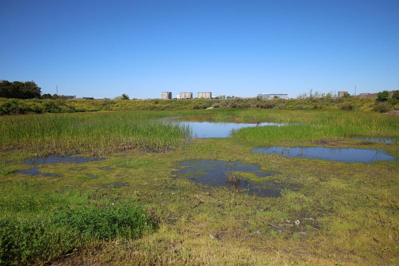 Customer carousel item 3.