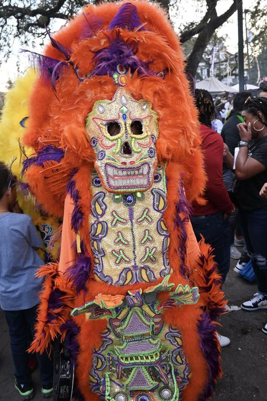 Mardi Gras Indian
