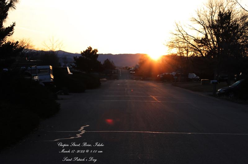 Photo from External reviewer