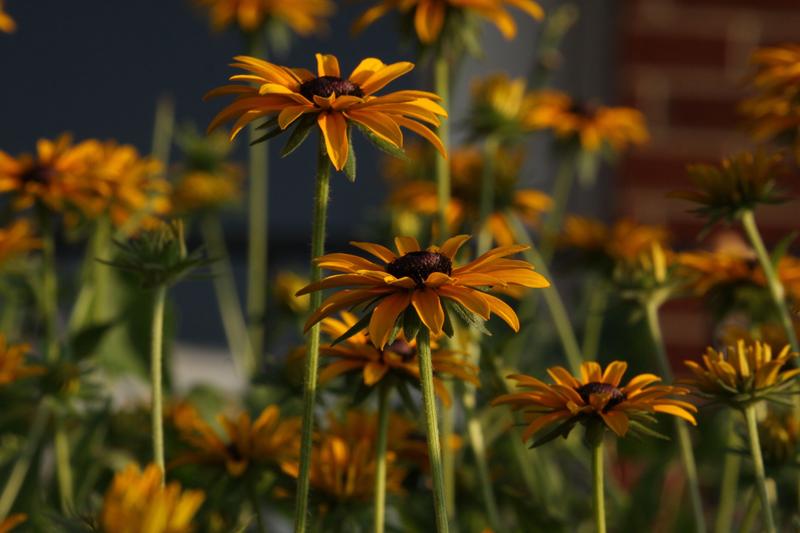 Taken with my 50D at the time.